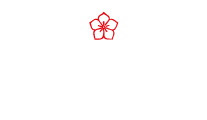 ayne.net